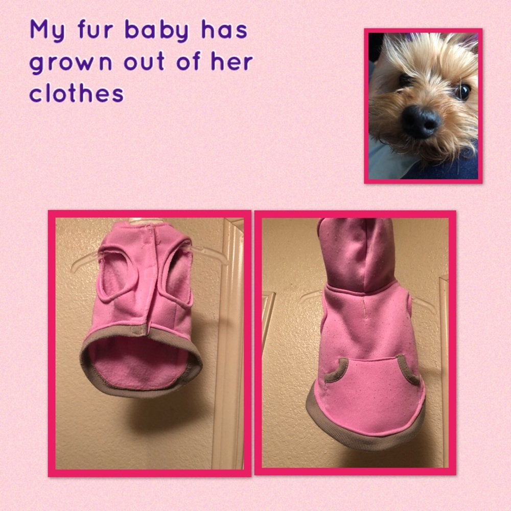 Small Dog outfits